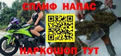 сатива Вышний Волочёк
