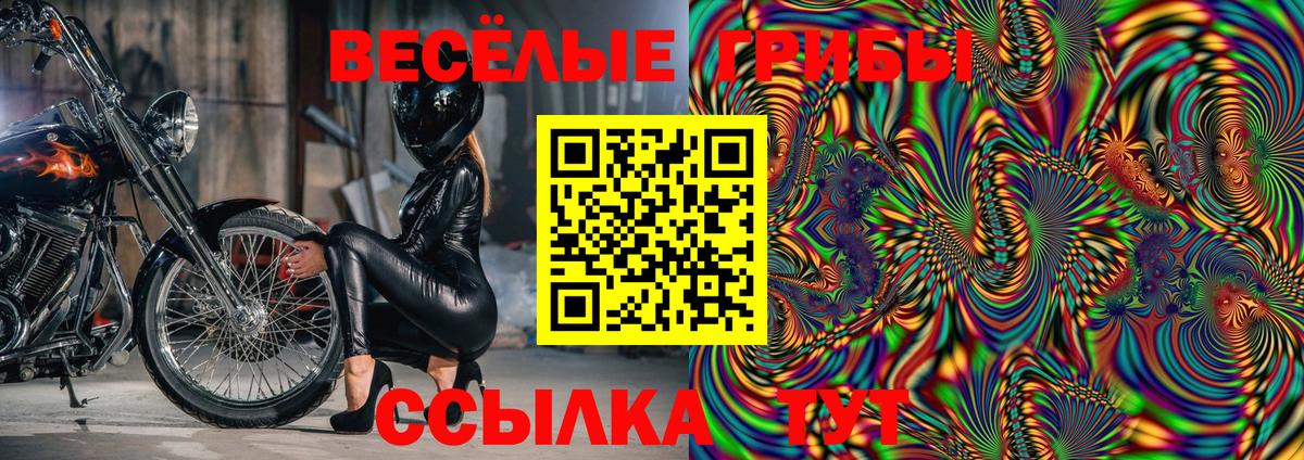 Братск  Псилоцибиновые грибы мухоморы  Псилоцибиновые грибы Cubensis  Вход с VPN 
