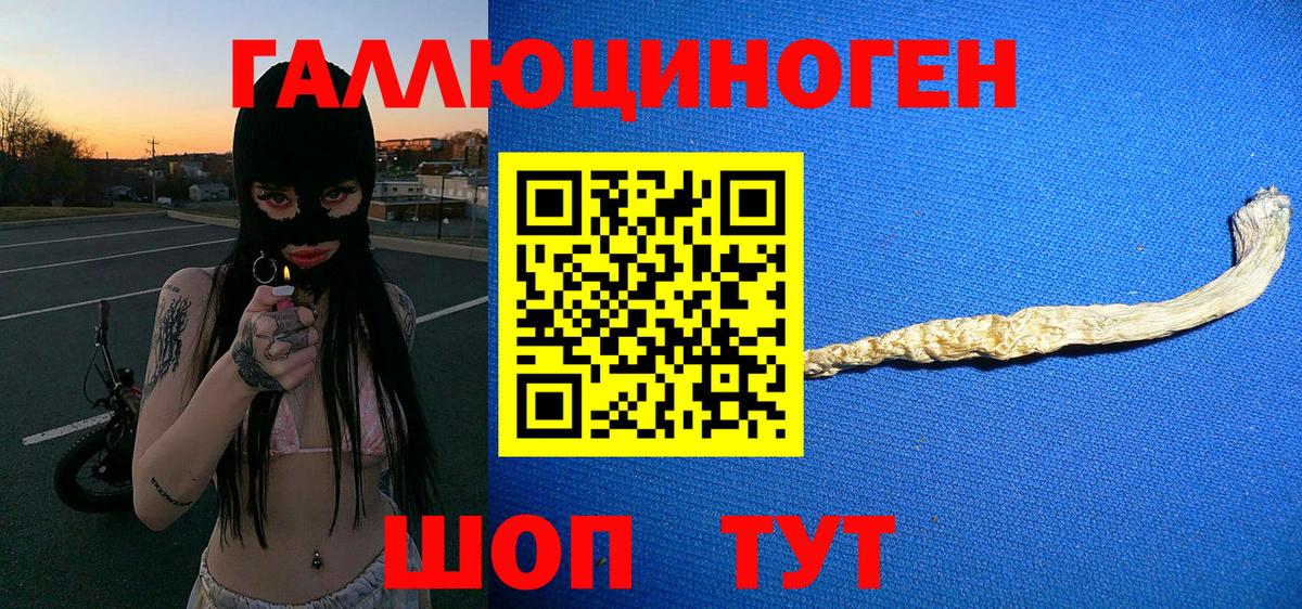 Галлюциногенные грибы прущие грибы Братск